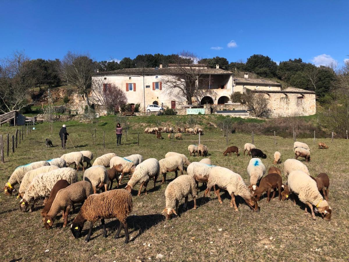 Gites La Ferme Accrochee A La Colline Лагорс Екстериор снимка